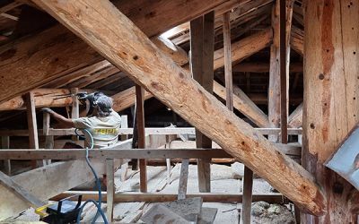 Traitement préventif de charpente : quand faut-il le refaire ?