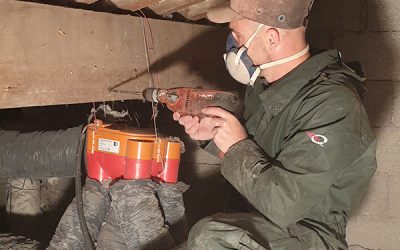 Charpente attaquée : comment savoir s’il faut traiter ou remplacer le bois ?
